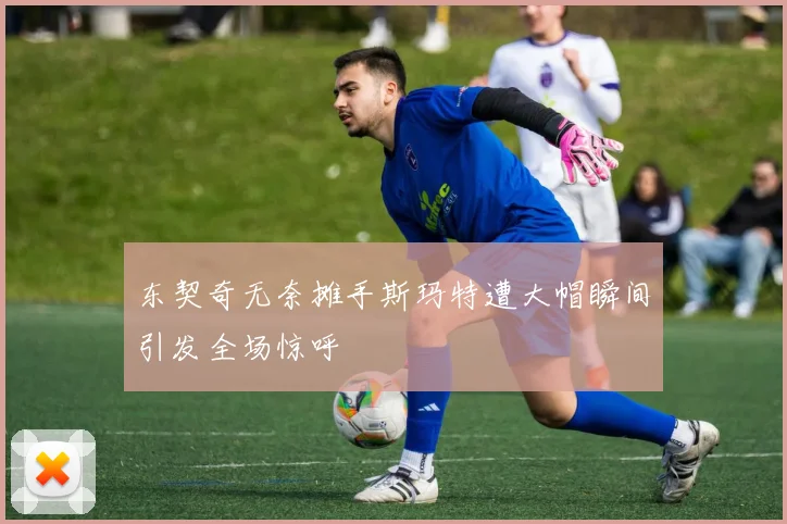 东契奇无奈摊手斯玛特遭大帽瞬间引发全场惊呼