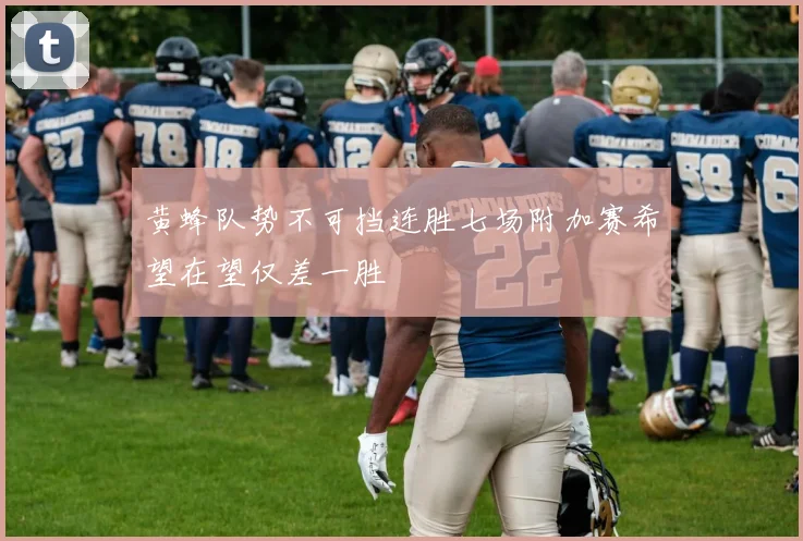 黄蜂队势不可挡连胜七场附加赛希望在望仅差一胜