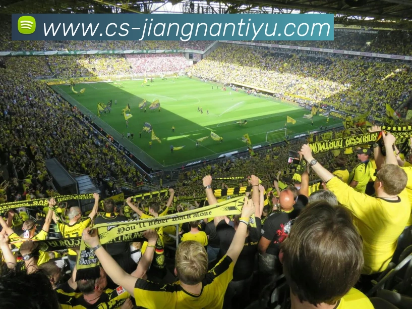 江南体育平台生态图